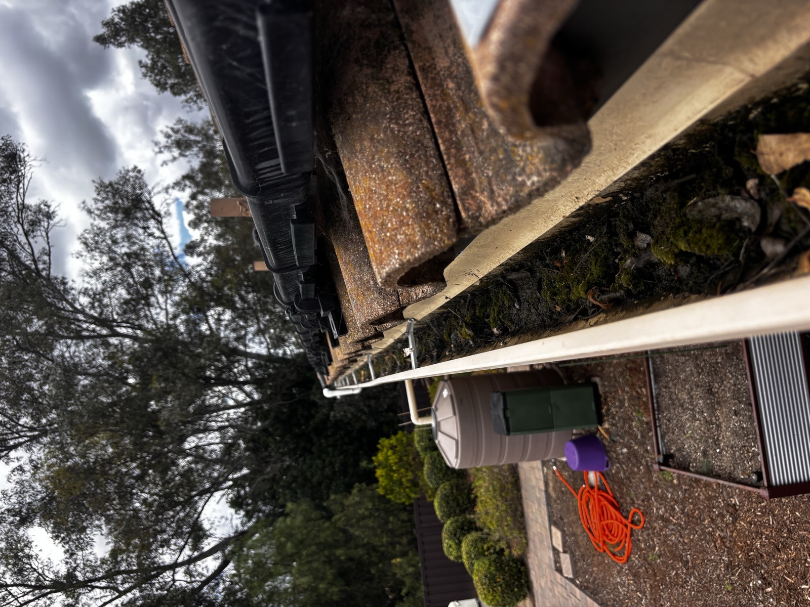 Gutters before cleaning